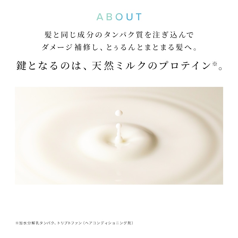 リファミルクプロテインアウトバストリートメントストレート100g