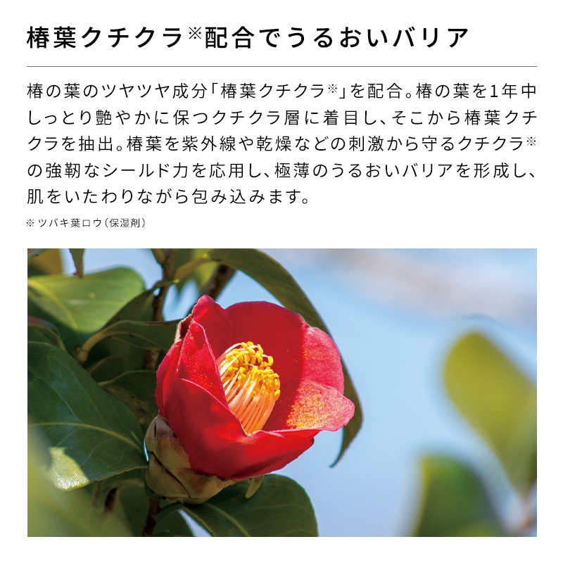 リファビューテックボディウォッシュ 500mL