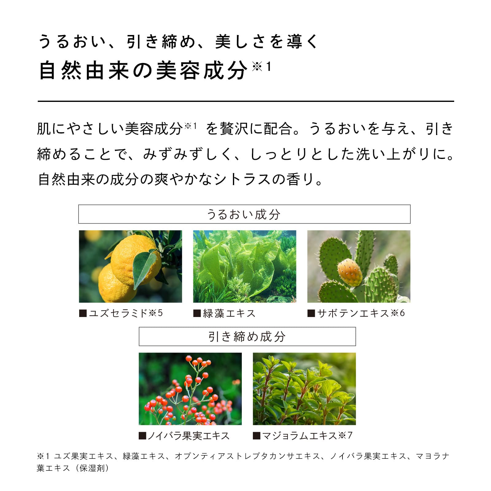 リファファインバブル U+(ホワイト) & リファスパフォームウォッシュ