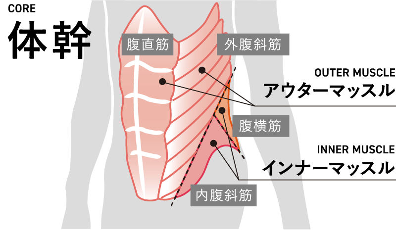 体幹とは？